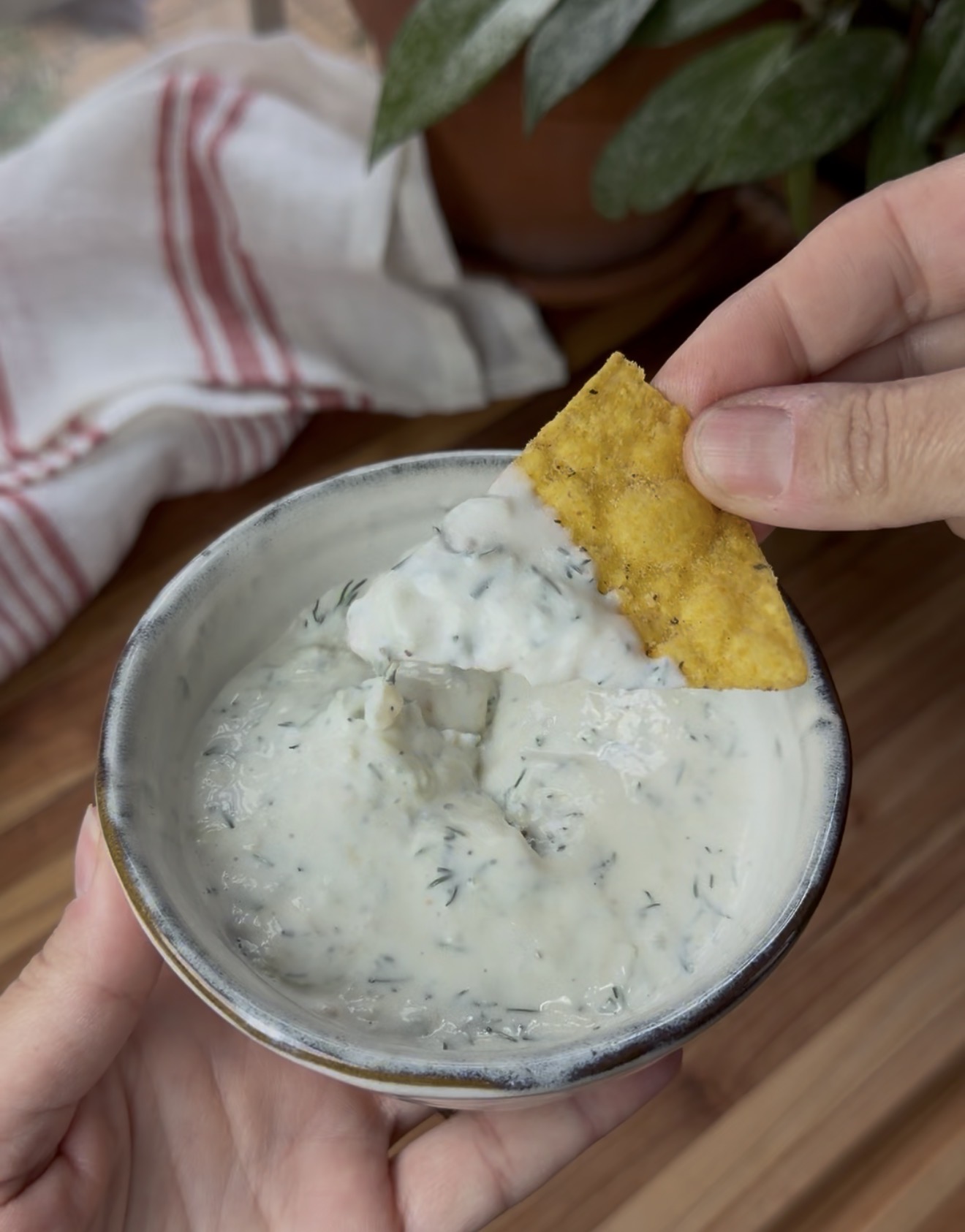 Homemade Tzatziki
